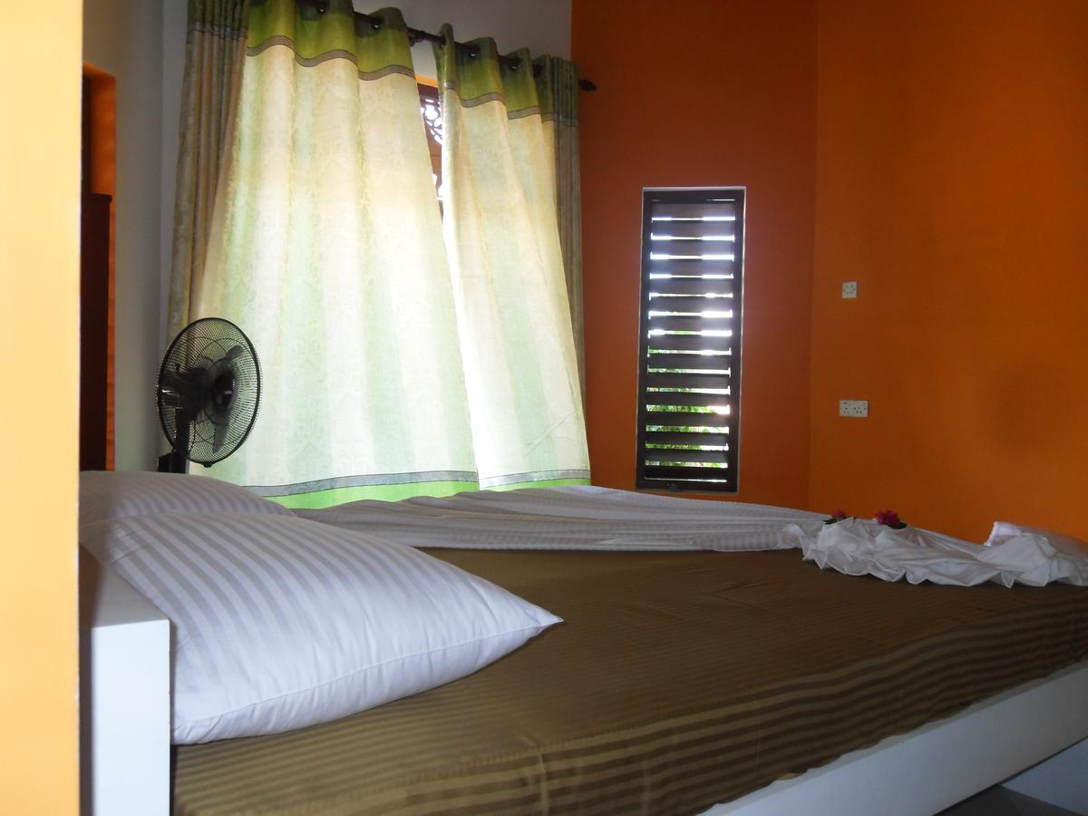 Bee Nest Bed & Breakfast Negombo Exterior foto