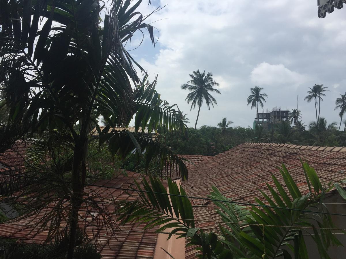 Bee Nest Bed & Breakfast Negombo Exterior foto