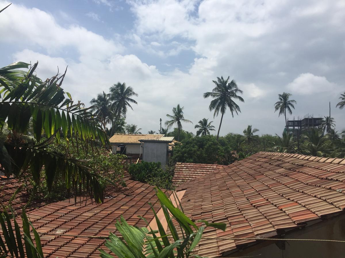 Bee Nest Bed & Breakfast Negombo Exterior foto